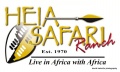 Heia Safari Networking Event